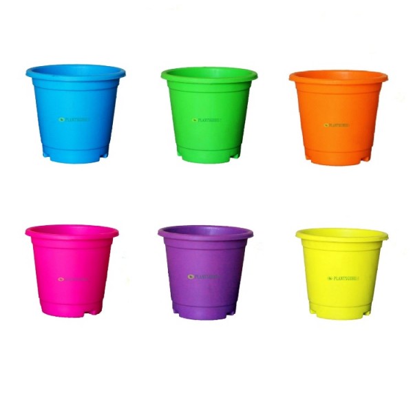 Blossom Pot Mix Color 6 inch with Plate (Pack of 6)